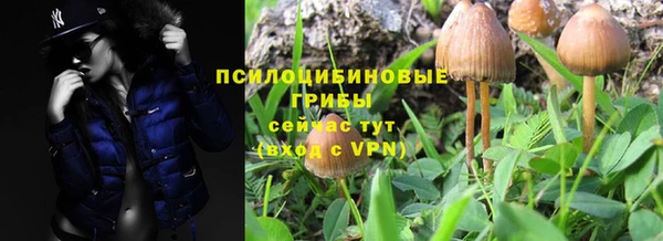 apvp Алексеевка
