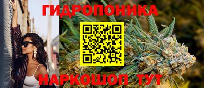 кокс Аргун
