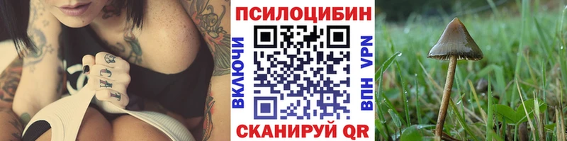 Псилоцибиновые грибы прущие грибы Балабаново
