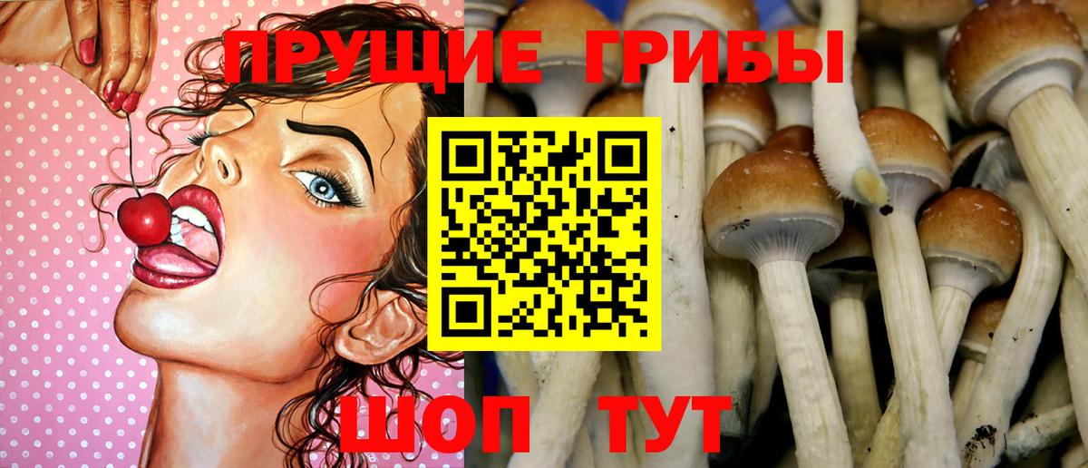 Балабаново  Псилоцибиновые грибы мицелий  Вход с VPN 